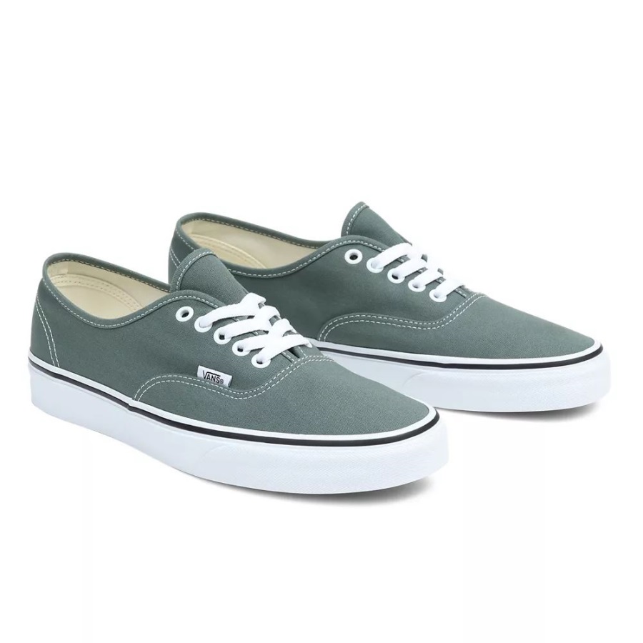 Vans Color Theory Authentique Chaussures Vert