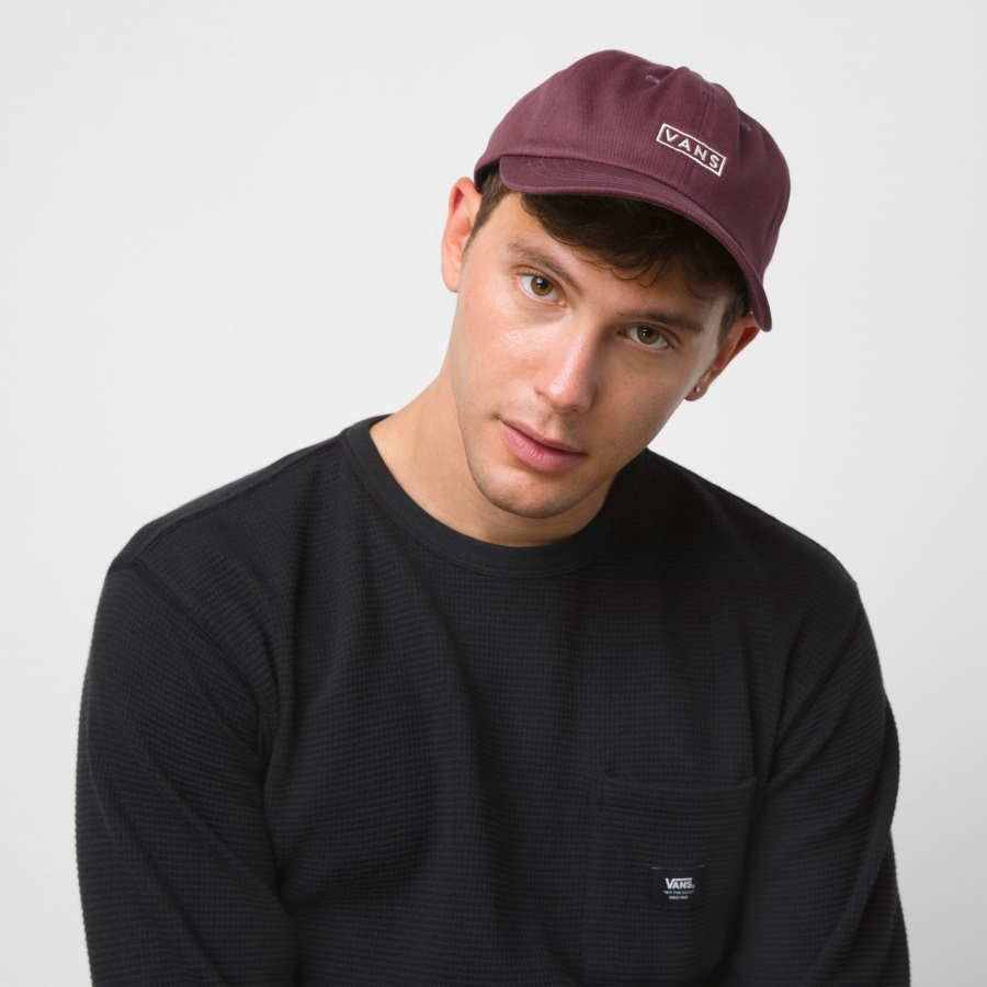 Vans Curved Bill Jockey Hat Catawba Raisin