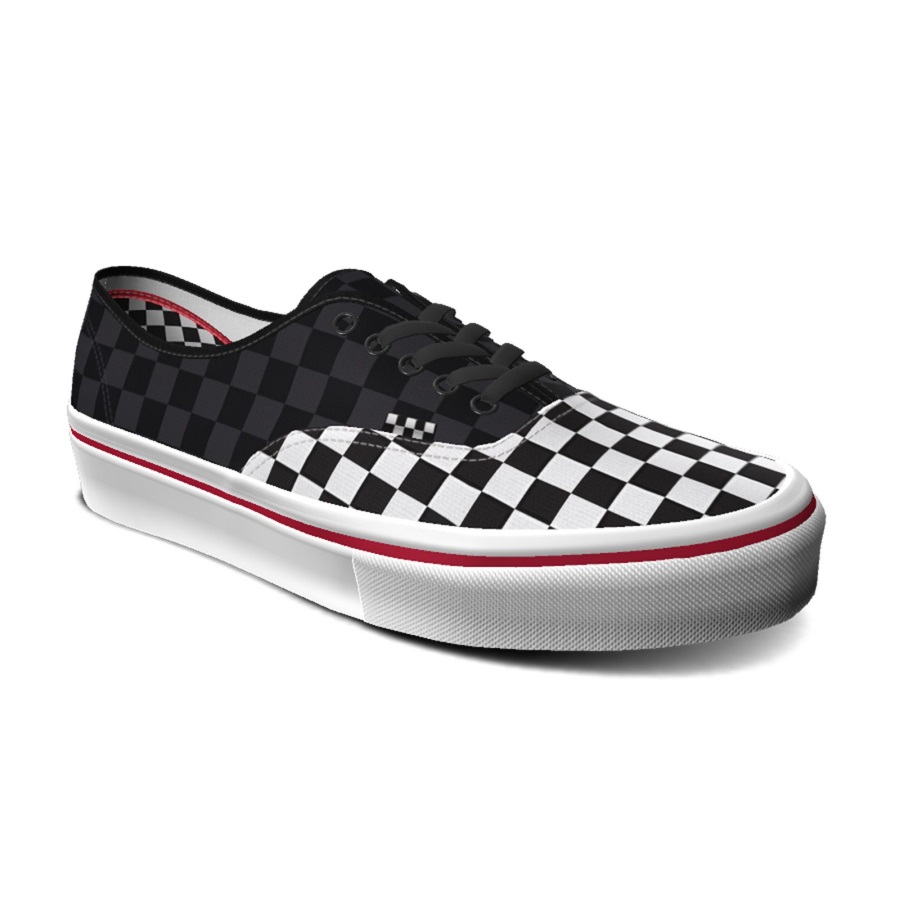 Vans Customs Damier Skate Authentique