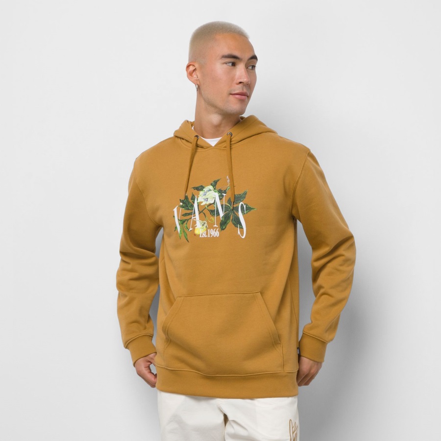 Vans Greener Ground Sweat à Capuche Brun Os