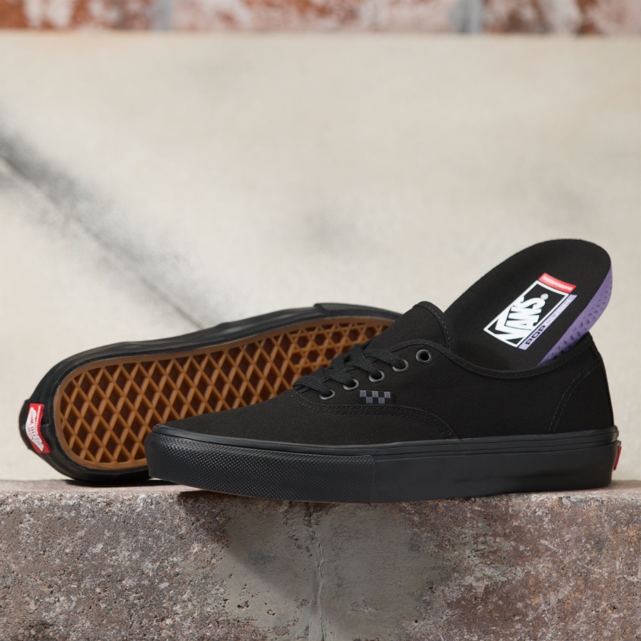 Vans Skate Authentique Noir-noir Homme