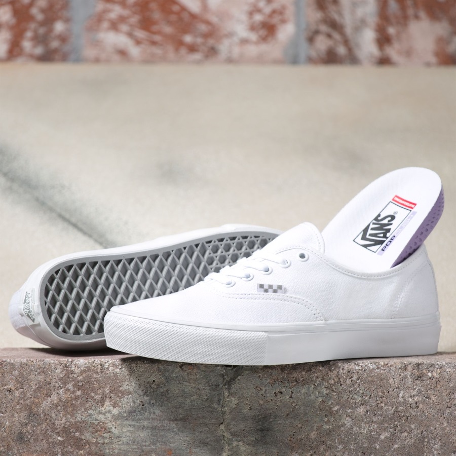 Vans Skate Authentique Blanc Vrai