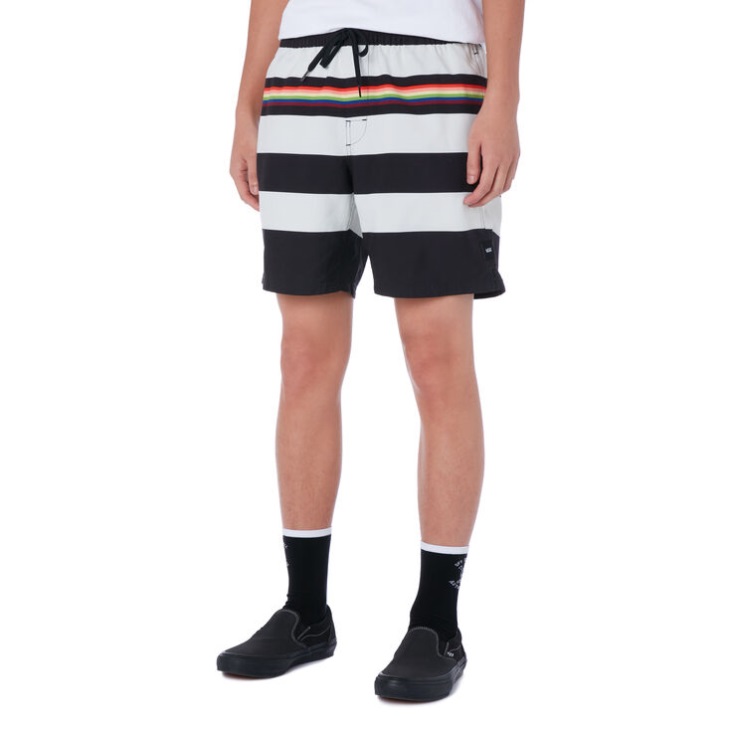 Vans Pride Stripe Volley Boardshorts Noir-arc-en-ciel