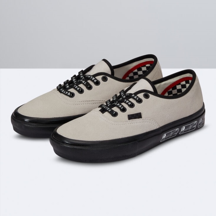 Vans Skate Authentique (palpal) Blanc