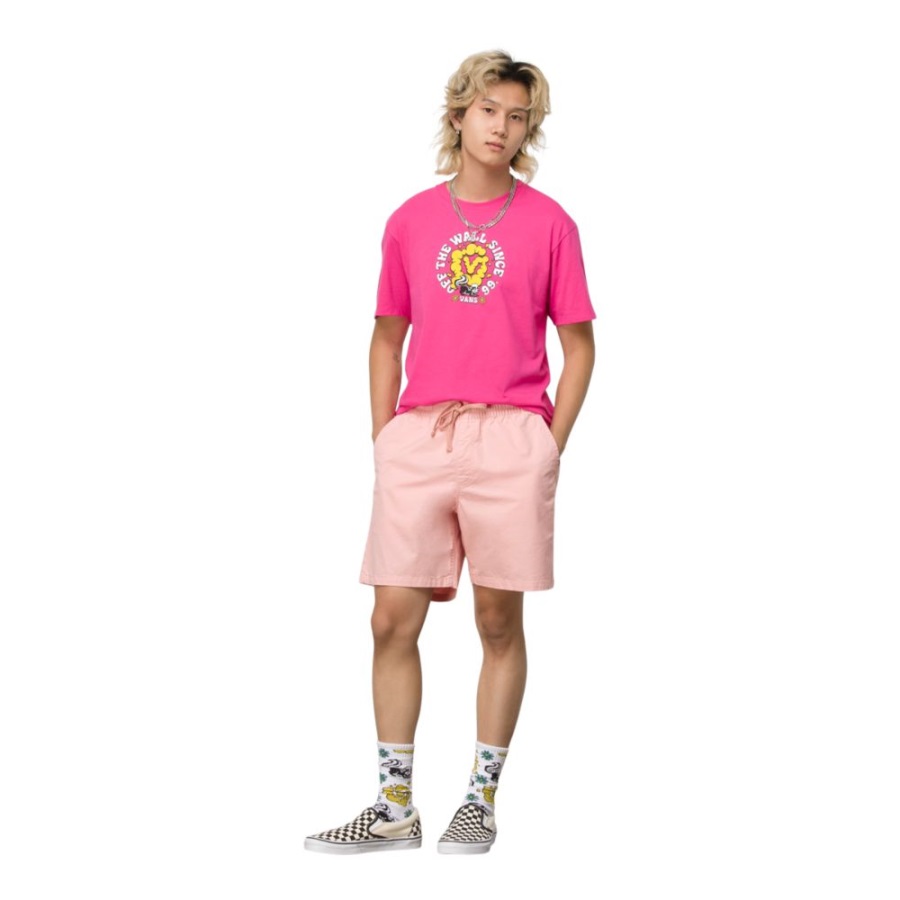 Vans Gamme Homme 18 Pouces Walkshorts Kaki